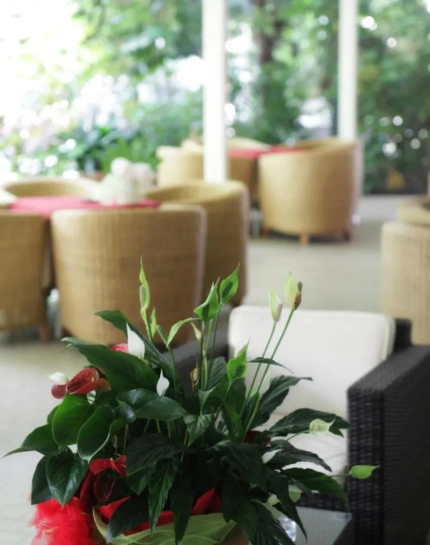 Hotel Alexander San Mauro Mare